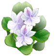 水彩画風の花のイラスト