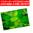 緑・葉・草木の風景の背景素材