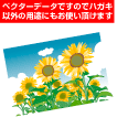 夏に使える素材２[絵はがき]