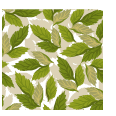 葉っぱ・植物柄のパターン背景