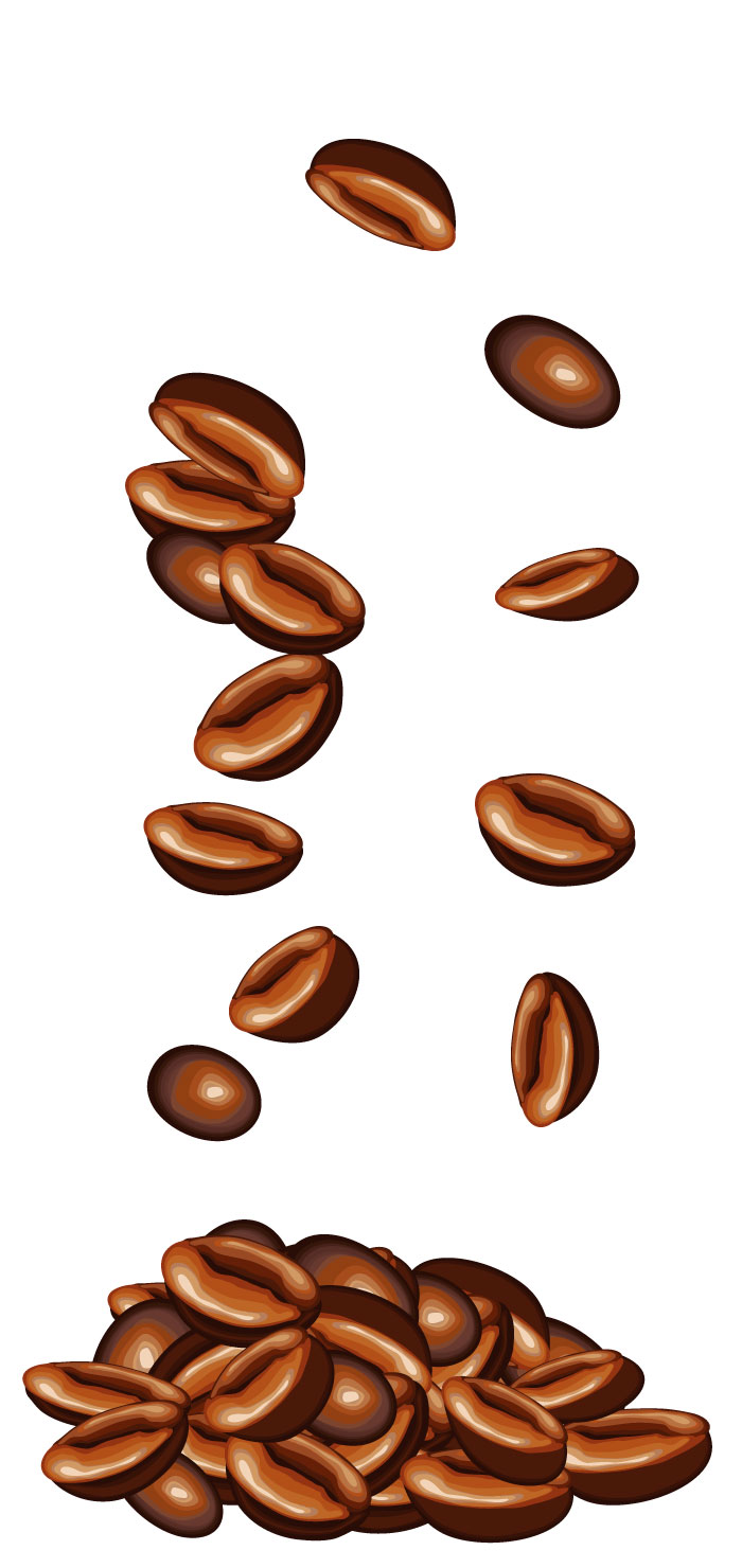 リアルなコーヒー豆の無料イラスト
